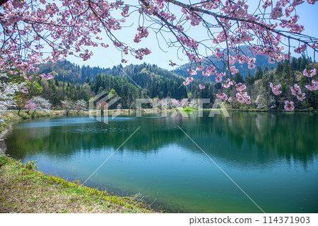 春天縣立森林 春天縣立森林 114371903