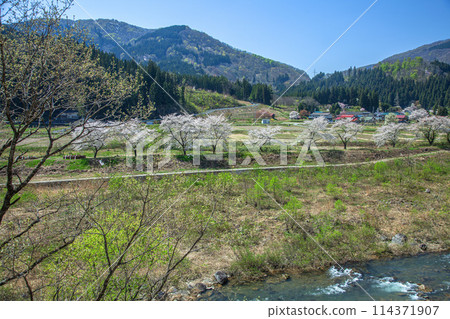 春山村 春山村 114371907