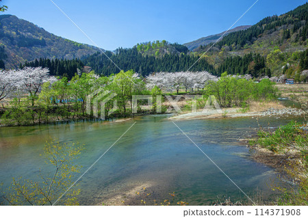 春山村 114371908
