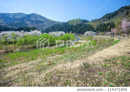春山村 114371909