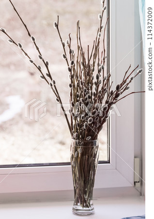Bouquet of willow branches in a vase on the windowsill 114372009