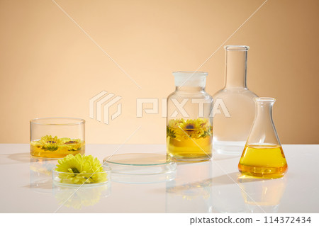 Various types of laboratory items with yellow essence extract from calendula placed evenly on white table over brown background, blank round podium for presentation. Front view photo with copy space Various types of laboratory items with yellow essence extract from calendula placed evenly on white table over brown background, blank round podium for presentation. Front view photo with copy space 114372434