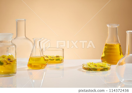 Light brown background against some lab equipments neatly arranged on white table with pure calendula extract inside. Blank space for adding text and elements of design 114372436