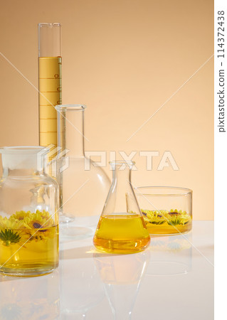Several lab instrument including glass bottle, boiling flask, erlenmeyer flask, beaker and measuring cylinder, containing yellow liquid extracted from fresh calendula. Copy space for text, front view Several lab instrument including glass bottle, boiling flask, erlenmeyer flask, beaker and measuring cylinder, containing yellow liquid extracted from fresh calendula. Copy space for text, front view 114372438