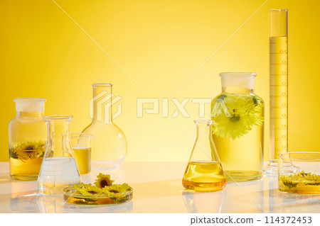 Calendula flower ingredient in laboratory, yellow tones, several equipments with yellow liquid placed on white table, decorated by some calendula flower. Copy space, front view photo Calendula flower ingredient in laboratory, yellow tones, several equipments with yellow liquid placed on white table, decorated by some calendula flower. Copy space, front view photo 114372453