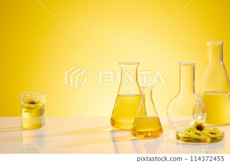 Some erlenmeyer flasks filled by yellow fluid, a petri dish contain calendula flowers and a blank boiling flask placed on the left side, a beaker placed on the other side. Copy space, frontal shot Some erlenmeyer flasks filled by yellow fluid, a petri dish contain calendula flowers and a blank boiling flask placed on the left side, a beaker placed on the other side. Copy space, frontal shot 114372455
