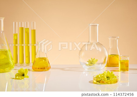 Stock for advertising photo with calendula as the main composition which has many benefits for skincare and health care. Photo was taken from front view with blank space for displaying Stock for advertising photo with calendula as the main composition which has many benefits for skincare and health care. Photo was taken from front view with blank space for displaying 114372456