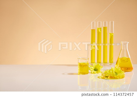 Laboratory equipments containing yellow liquid extracted from marigold flowers is placed on the left of the white table, empty right side can be used to display products. Copy space, front view Laboratory equipments containing yellow liquid extracted from marigold flowers is placed on the left of the white table, empty right side can be used to display products. Copy space, front view 114372457
