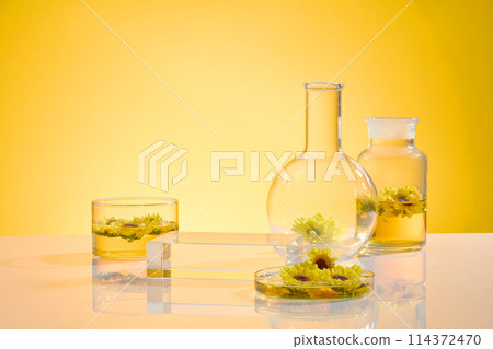 A blank rectangular pedestal placed on white table in front of glass cup, a boiling flask and a glass bottle on yellow background. Template for designing photo of calendula flower theme 114372470