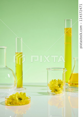 Gradient green background against feature some instrument in experiments evenly arranged on table, decorated by yellow color of calendula flower. Front view, space for design Gradient green background against feature some instrument in experiments evenly arranged on table, decorated by yellow color of calendula flower. Front view, space for design 114372471