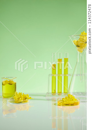 Photography of science research for natural cosmetics with essential oil from fresh calendula flower, over light green background. Frontal shot photo for promotion with empty space Photography of science research for natural cosmetics with essential oil from fresh calendula flower, over light green background. Frontal shot photo for promotion with empty space 114372478