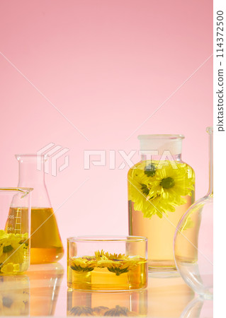 Some containing utensils in laboratory such as glass bottle, beaker, boiling flask and erlenmeyer flask with yellow liquid and fresh calendula placed inside. Space for design with frontal shot Some containing utensils in laboratory such as glass bottle, beaker, boiling flask and erlenmeyer flask with yellow liquid and fresh calendula placed inside. Space for design with frontal shot 114372500