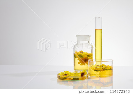 Yellow essence extracted from fresh calendula flowers contained in experimental instrument on white background. Copy space for text, frontal shot photo Yellow essence extracted from fresh calendula flowers contained in experimental instrument on white background. Copy space for text, frontal shot photo 114372543