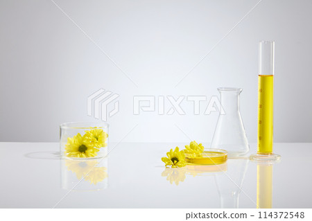 Advertising photo with lab glassware filled by yellow essence and fresh calendula featured on white flat form with vacant space in center for displaying product, frontal shot Advertising photo with lab glassware filled by yellow essence and fresh calendula featured on white flat form with vacant space in center for displaying product, frontal shot 114372548