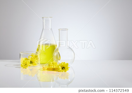A group of lab item including erlenmeyer flask with yellow liquid, boiling flask, petri dish and glass holding cup, decorated by some calendula, over white background. Copy space, front view A group of lab item including erlenmeyer flask with yellow liquid, boiling flask, petri dish and glass holding cup, decorated by some calendula, over white background. Copy space, front view 114372549