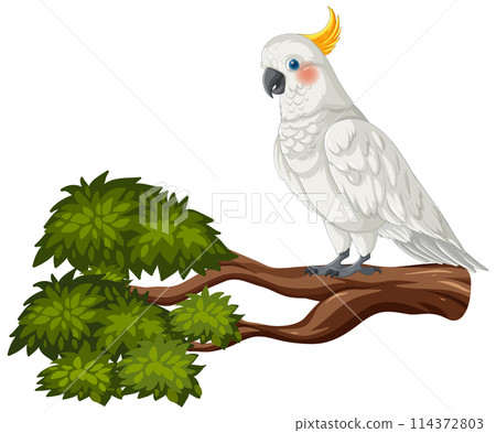 Cockatoo Perched on a Lush Branch 114372803