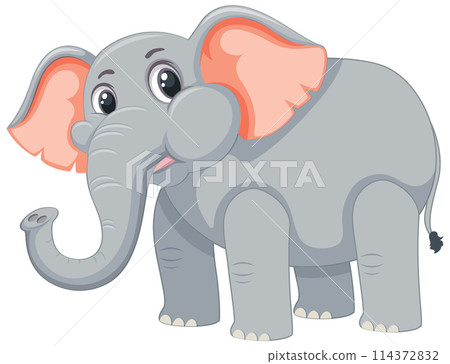 Cute Cartoon Elephant Illustration 114372832