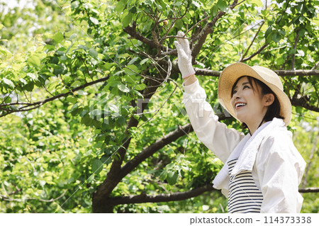 Woman living in the countryside 114373338
