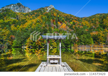 上高地的秋天,明神池(明神池)的美麗秋葉景色【長野縣松本市】 上高地的秋天,明神池(明神池)的美麗秋葉景色【長野縣松本市】 114373420