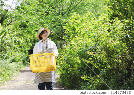Woman living in the countryside 114373458