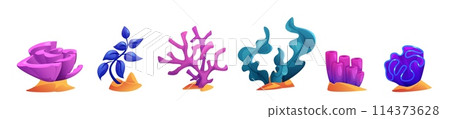 Seaweed and coral cartoon vector illustration set Seaweed and coral cartoon vector illustration set 114373628