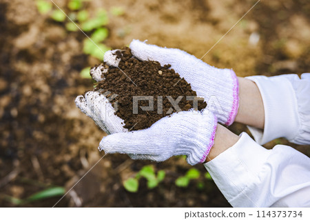 Woman holding soil 114373734