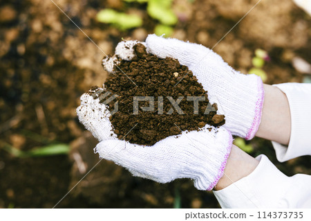 Woman holding soil 114373735