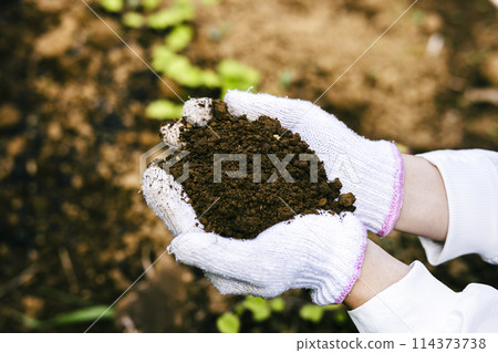 有土的女人 114373738