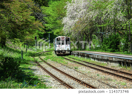 Local train 114373746