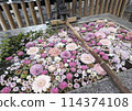 Water flowing from a dragon and flower water fountain 114374108