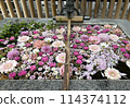 Floating flower wash basin 114374112