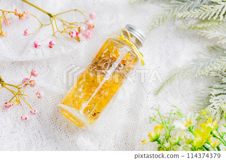 植物標本室 114374379