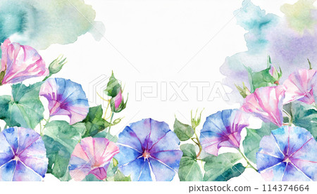 牽牛花插畫框架素材 114374664