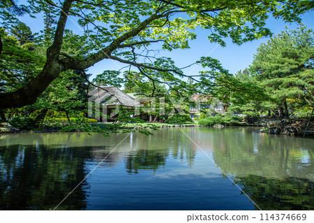 春季藥用花園 114374669