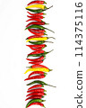 白色背景上的彩色辣椒 114375116