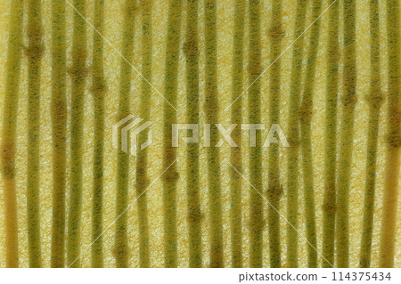 A collaboration between Japanese paper and horsetail (background material) 114375434