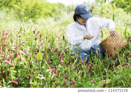 一個住在鄉村的女人 114375576