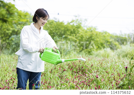 A woman watering flowers 114375632