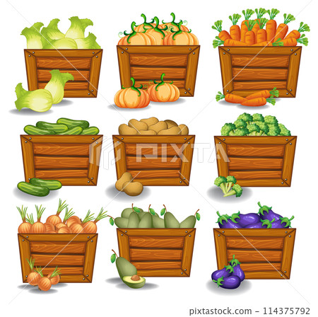Colorful Assorted Vegetables in Wooden Crates 114375792