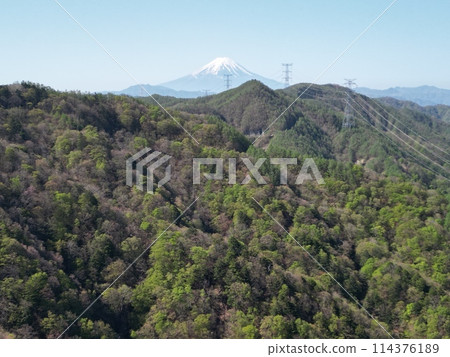 Mount Fuji from the Bodhi Tree 114376189