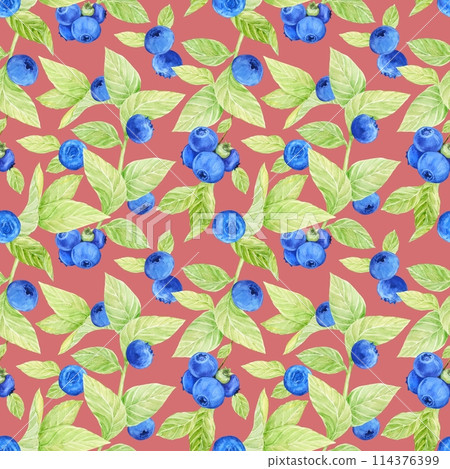 Blueberry watercolor pattern. Seamless pattern of ripe berries and intertwined leaves on a pink background. Botanical hand drawn illustration of wild bilberry for fabric, textile, wallpaper, wrapping. Blueberry watercolor pattern. Seamless pattern of ripe berries and intertwined leaves on a pink background. Botanical hand drawn illustration of wild bilberry for fabric, textile, wallpaper, wrapping. 114376399