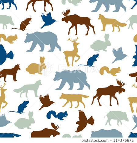 Pattern Animal Bird Wildlife Nature Reserve Safari 114376672