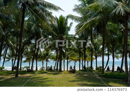 My Khe Beach, Da Nang, Vietnam 114376973