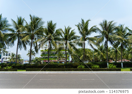 My Khe Beach, Da Nang, Vietnam 114376975