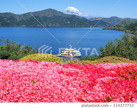 Kanagawa Prefecture, Early summer scenery of Onshi Hakone Park (Azaleas and sightseeing boats), May 114377733