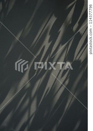 Shadow aesthetic wall plant nature against neutral concrete textured old wall background vertical. 114377796