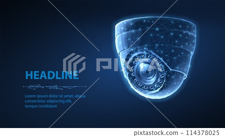 Dome security camera. Business monitoring, Camera surveillance, 114378025