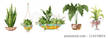 Houseplant and macrame plant growing in pots. Set of handmade home decorations macrame plants isolated on white background. Cartoon flat illustration. 114378654