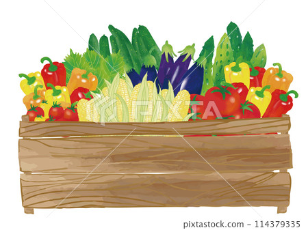 Watercolor style summer vegetables in wooden box set 114379335