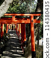 紅色牌坊 114380435
